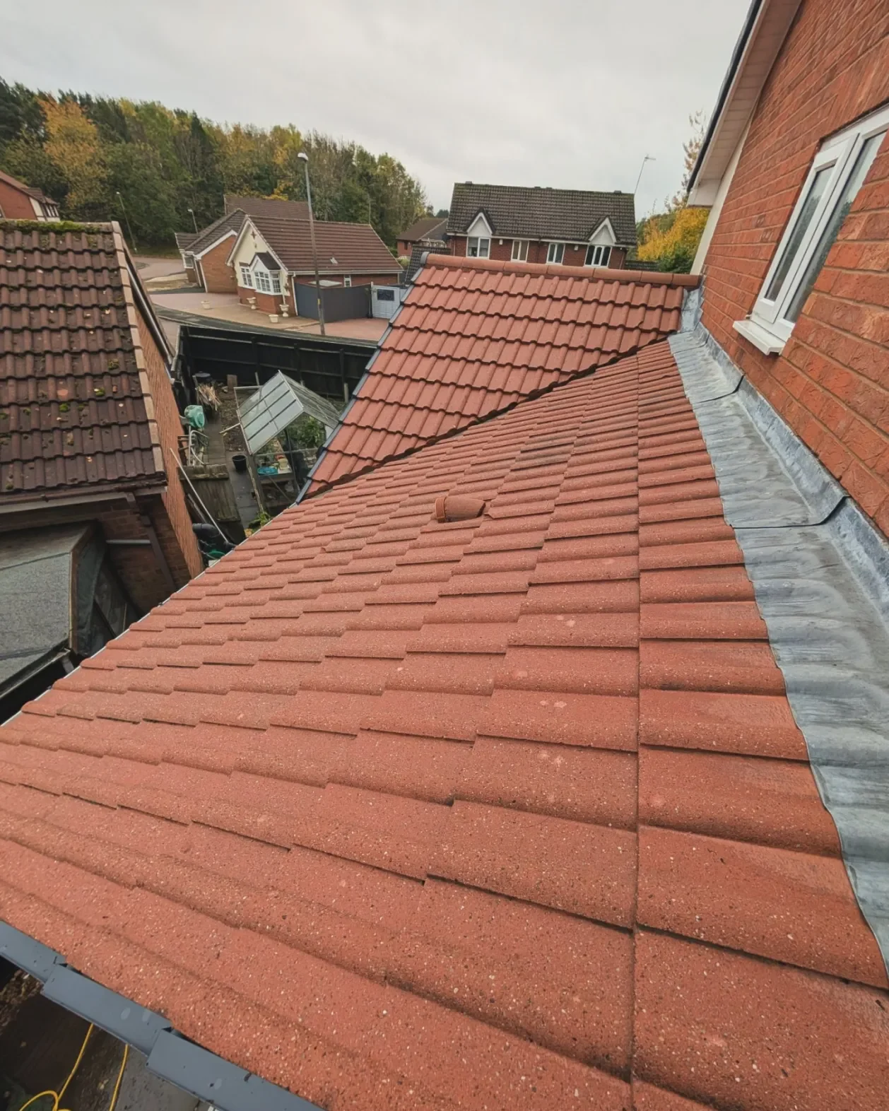 Roof After Cleaning