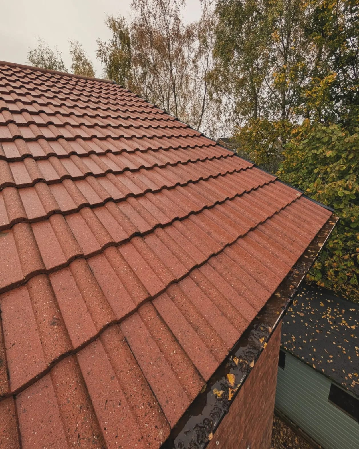 Roof After Cleaning
