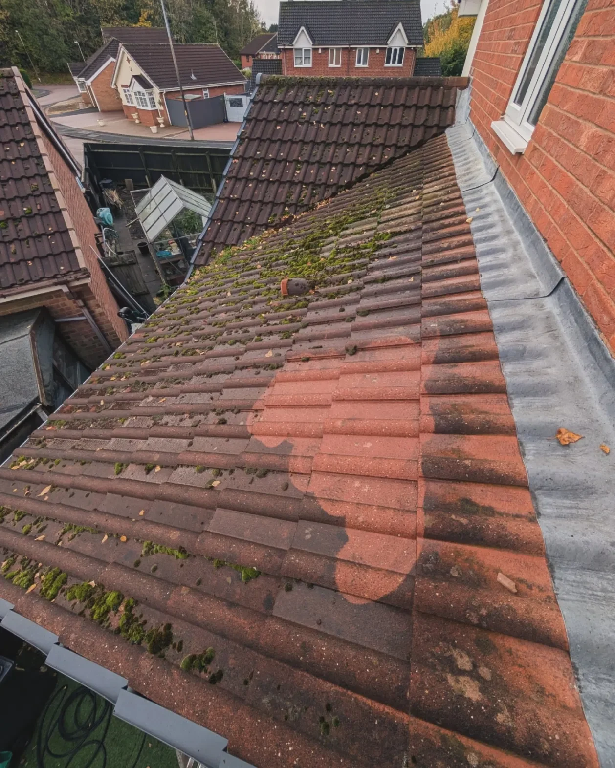 Roof Before Cleaning