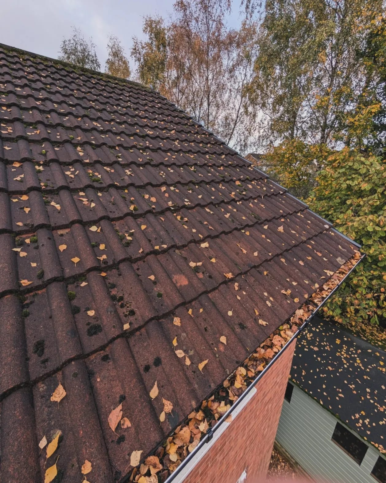 Roof Before Cleaning