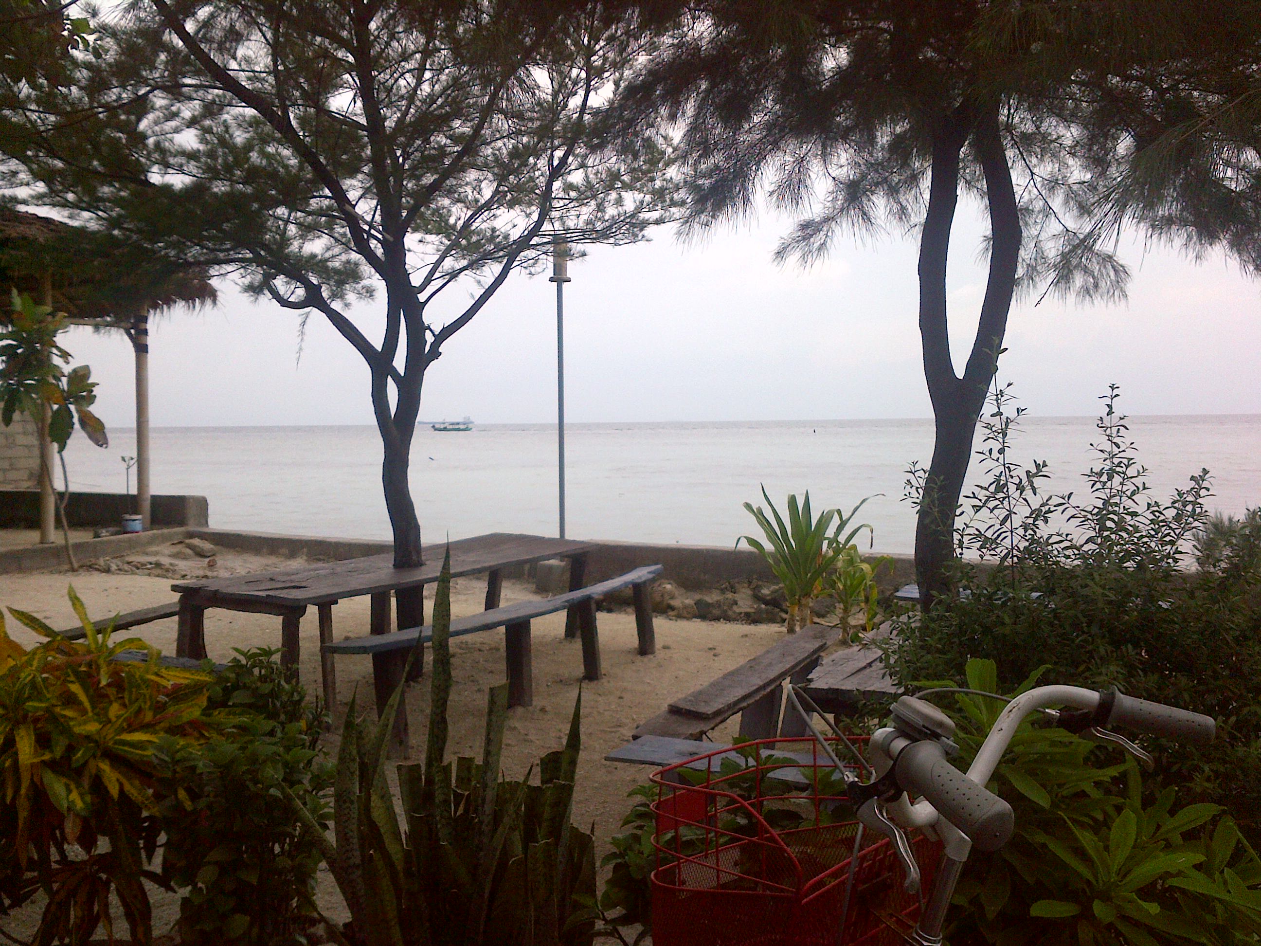 CHARLIE HOMESTAY 