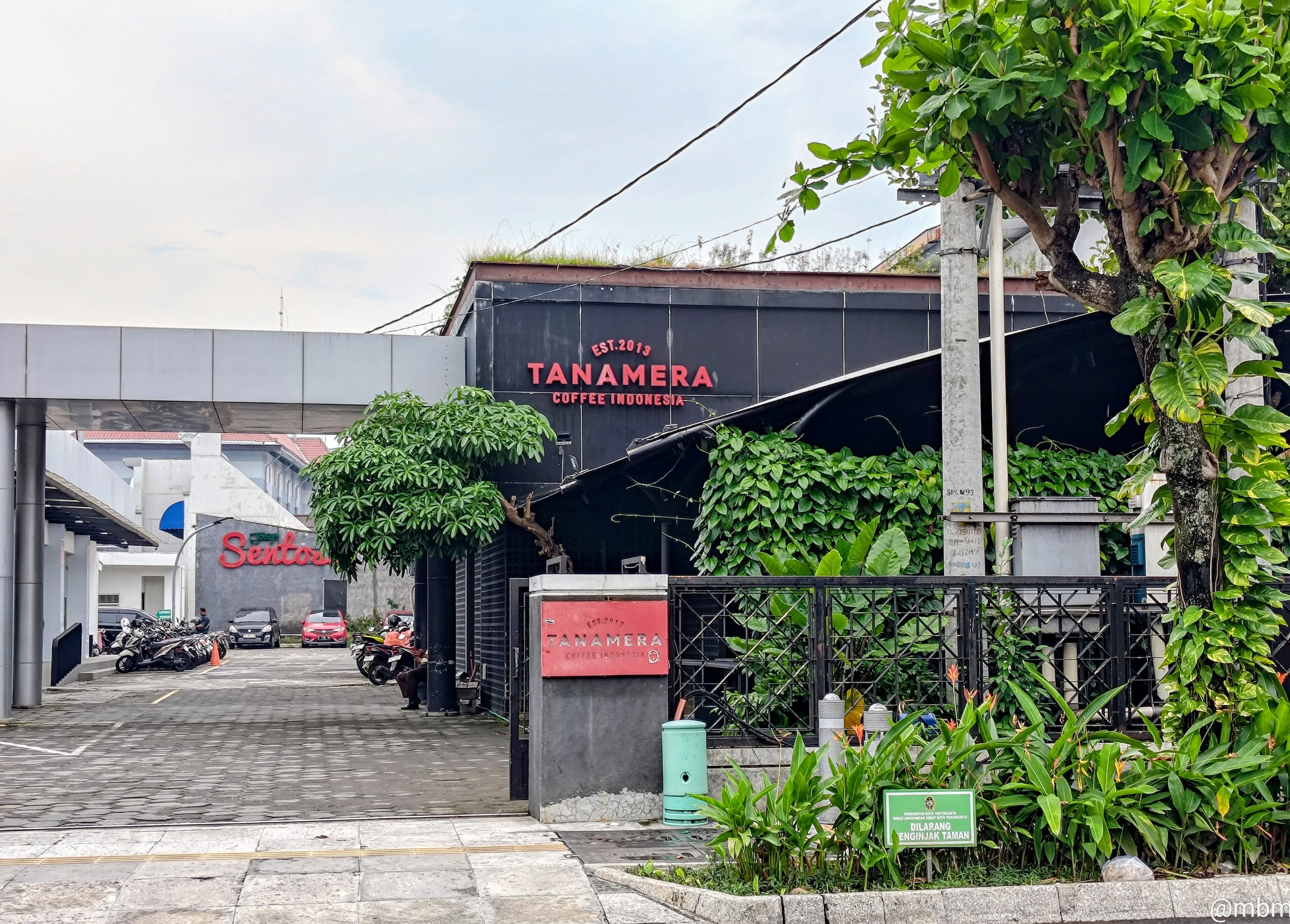 Tanamera Coffee Yogyakarta