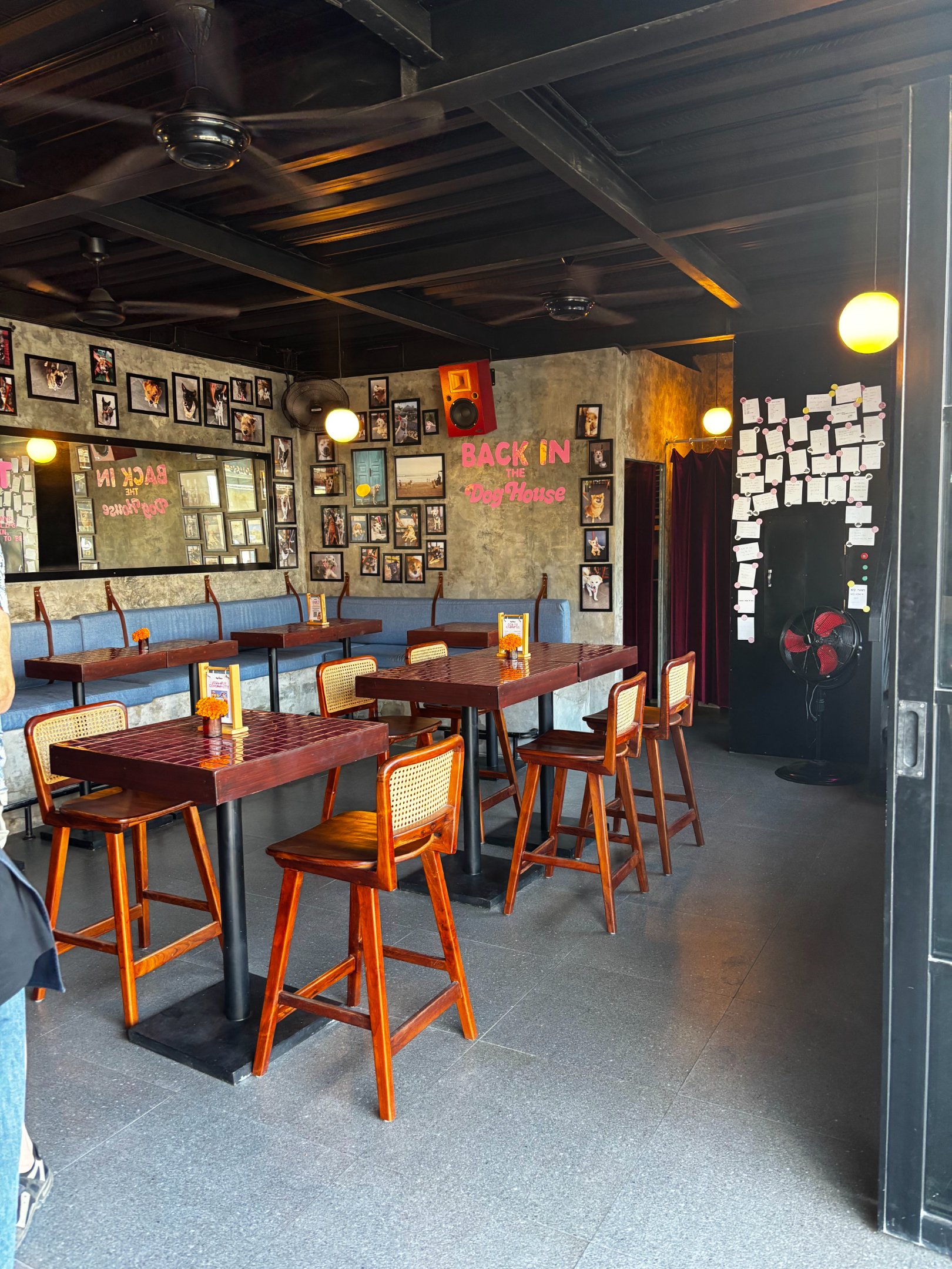 The Dog House Cafe