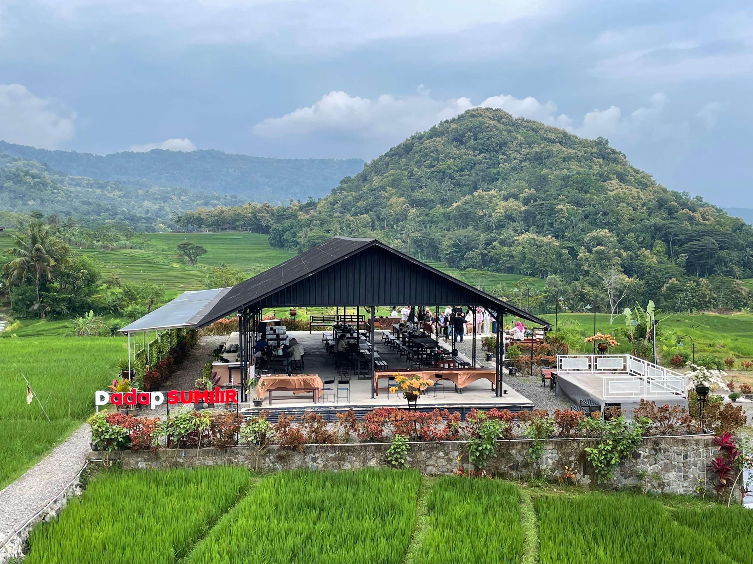 Dadap Sumilir