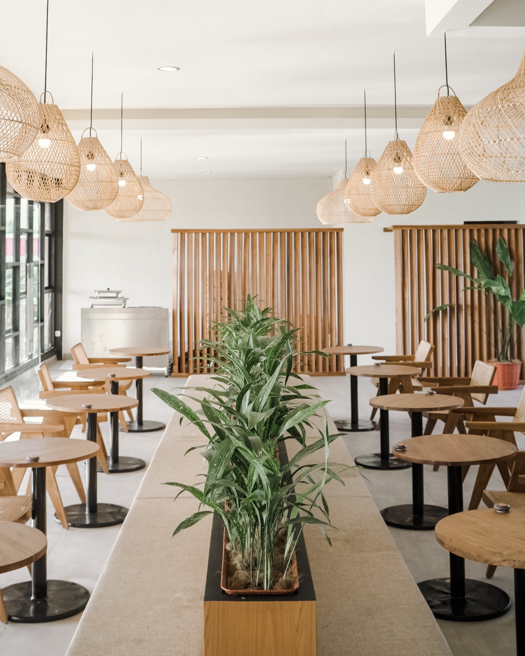 Terraskota Coffee & Kitchen