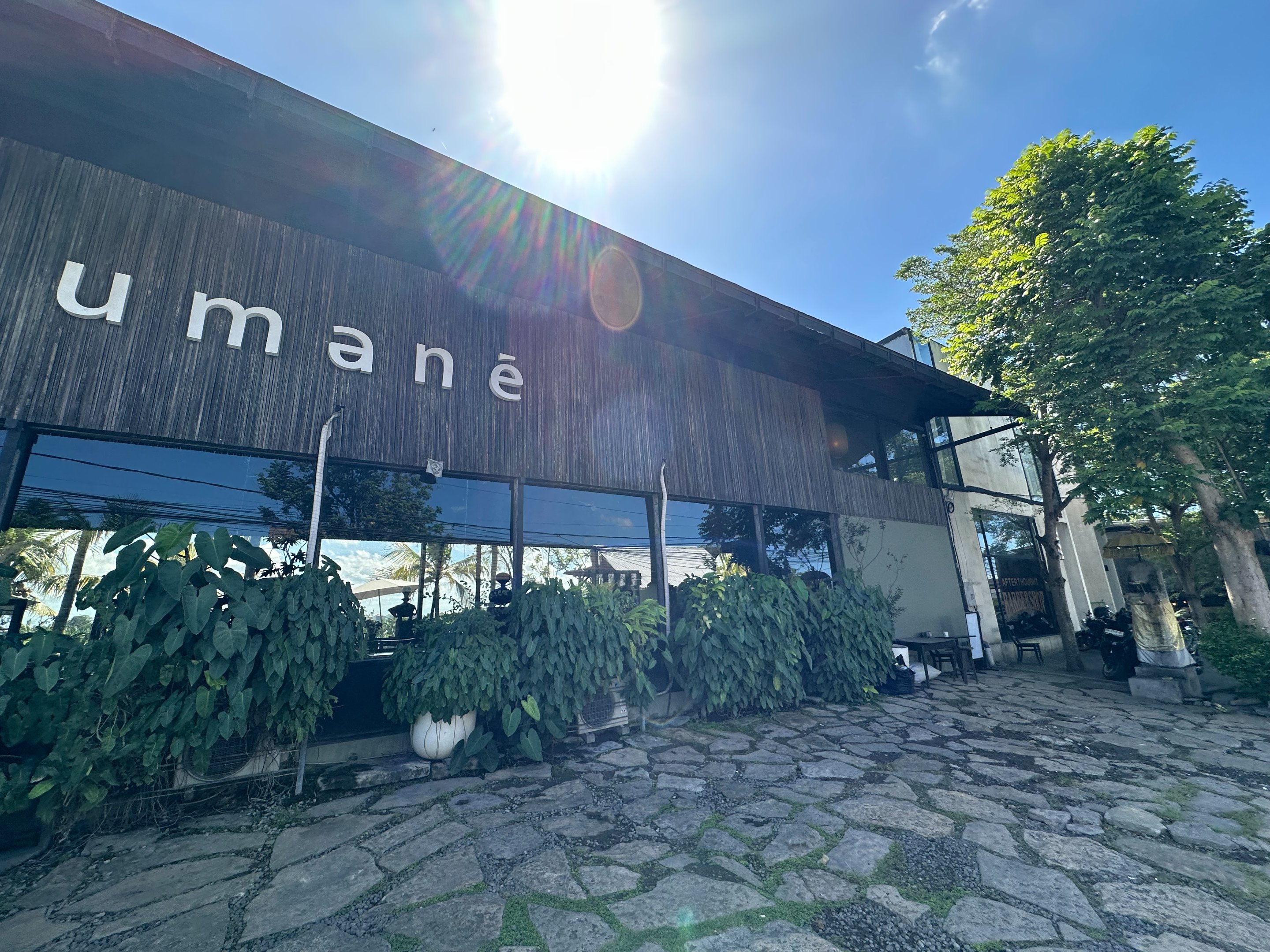 UMANE Cafe