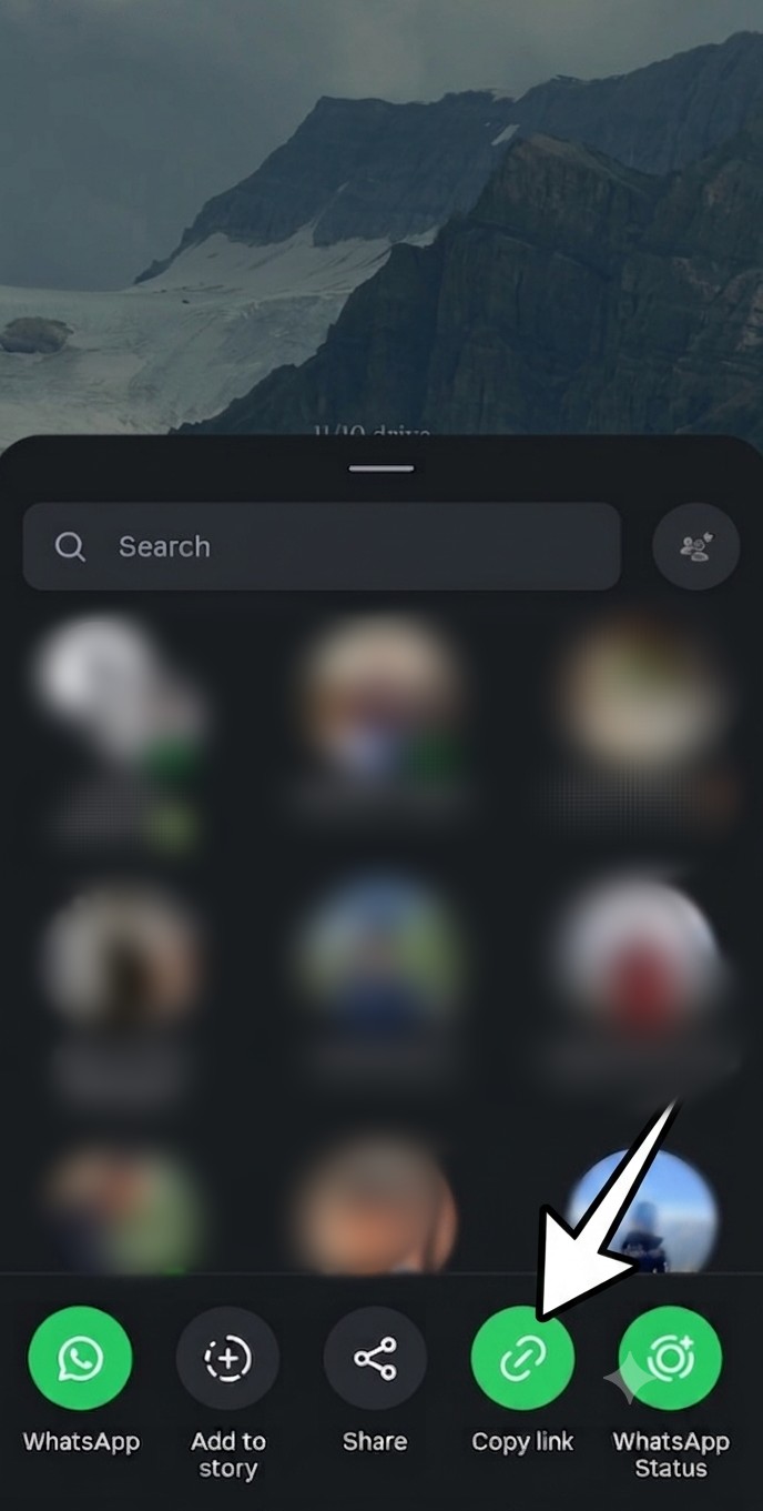 Paste Instagram Reel URL