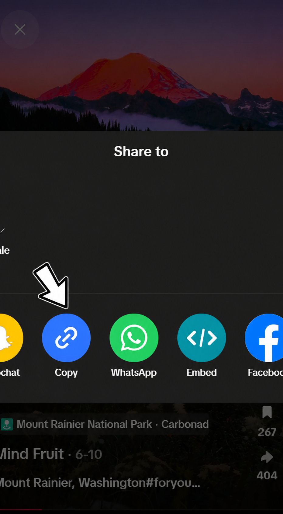 Paste TikTok video URL