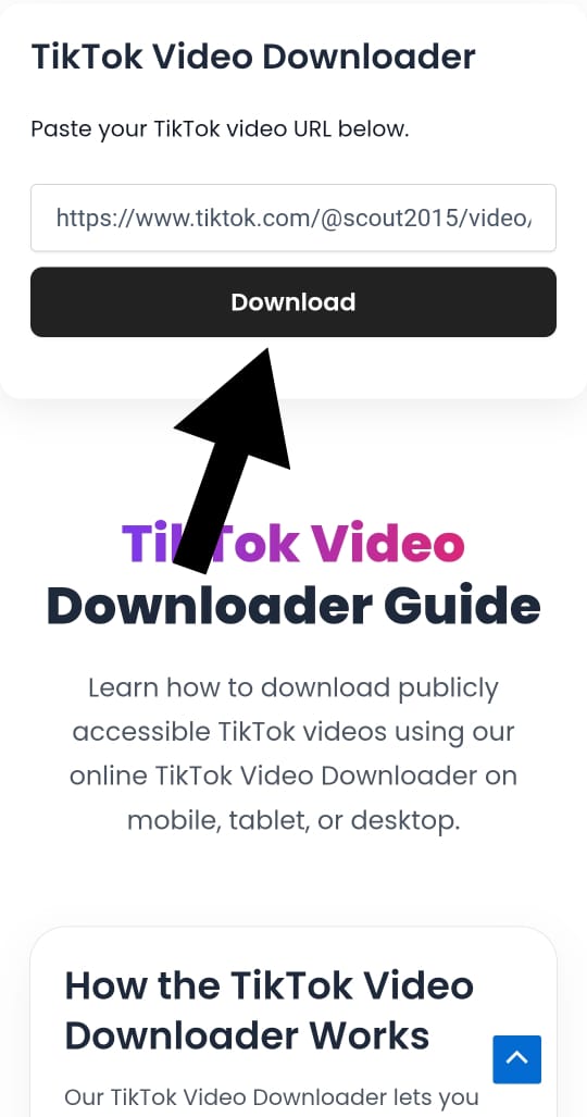 Download TikTok video