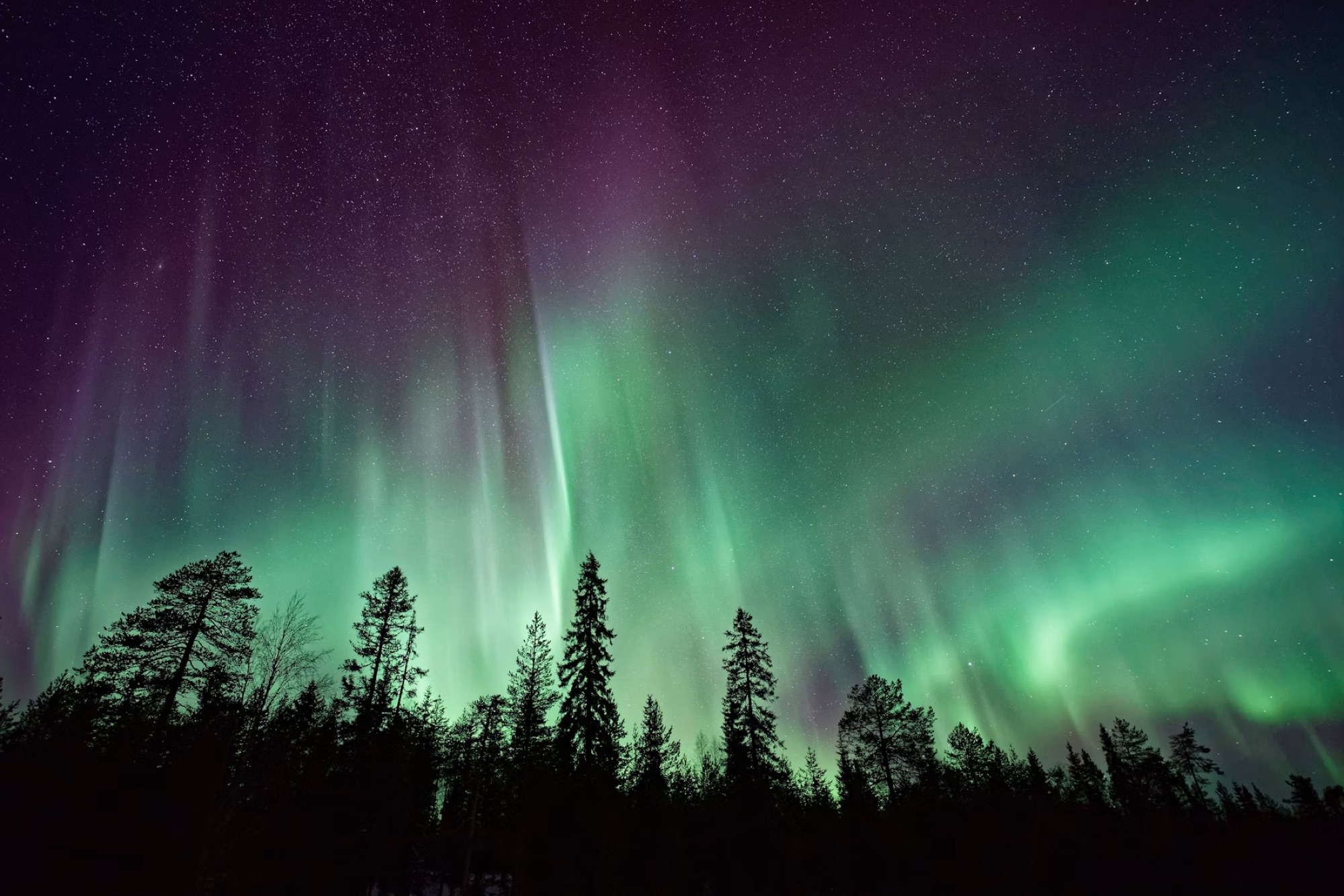 Arctic Northern Lights Adventure