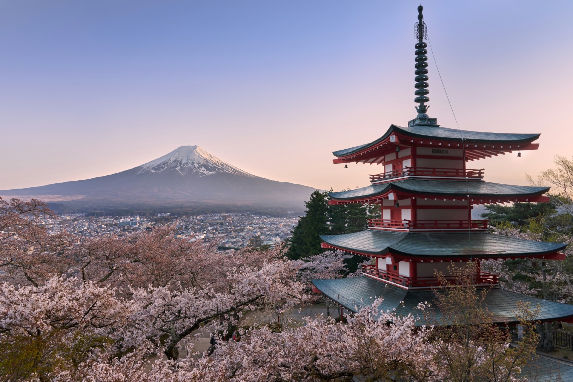 Japan in Depth