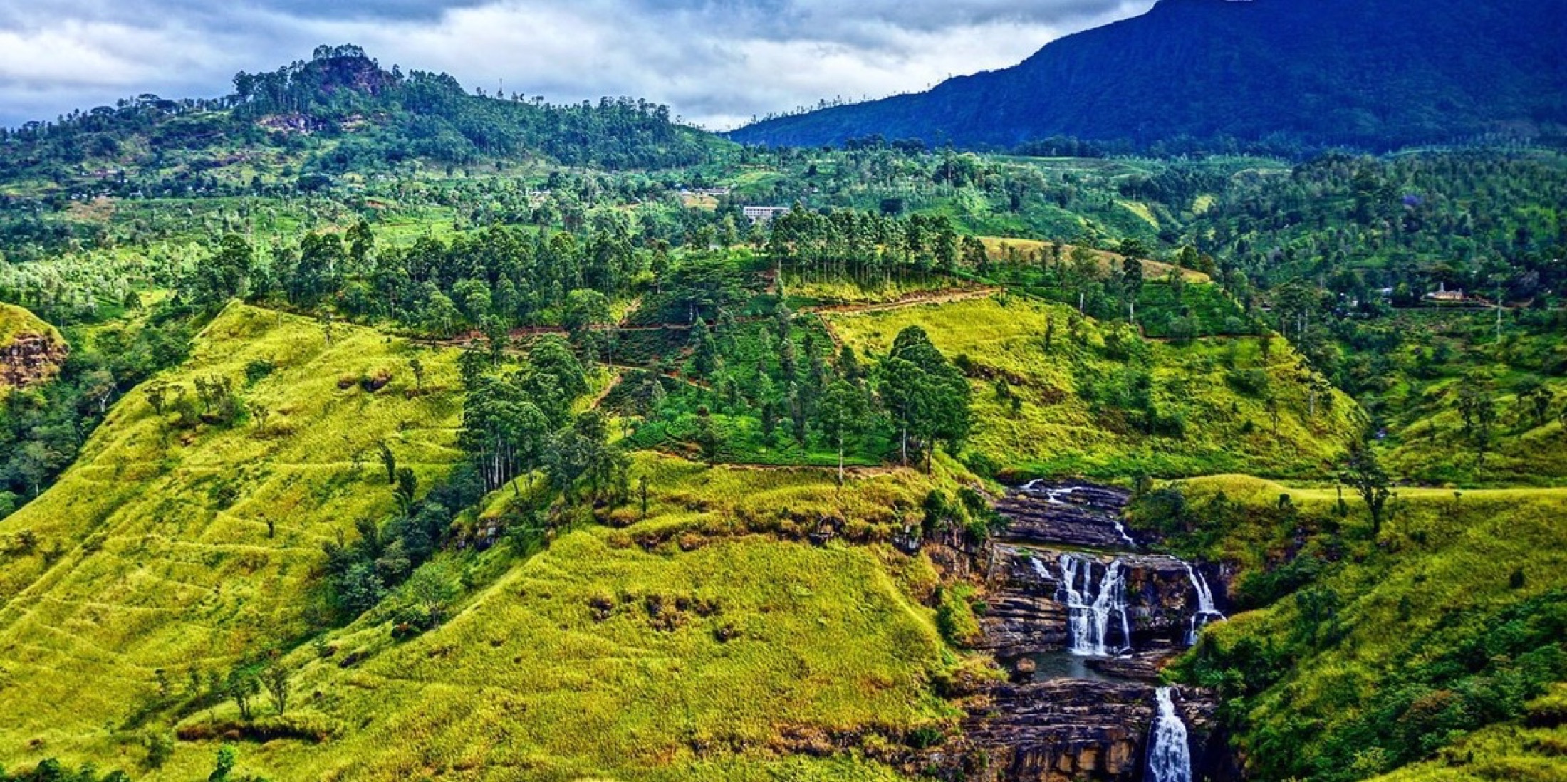 Kandy & Tea Country