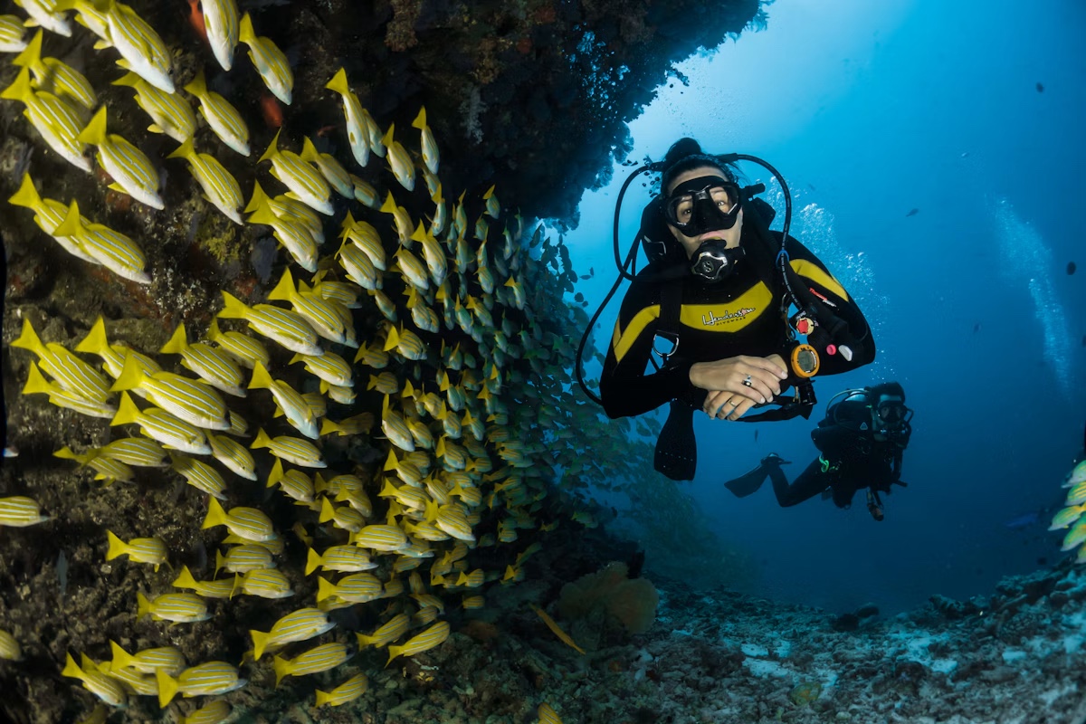 Diver beside a school of yellow fish on a Maldives reef