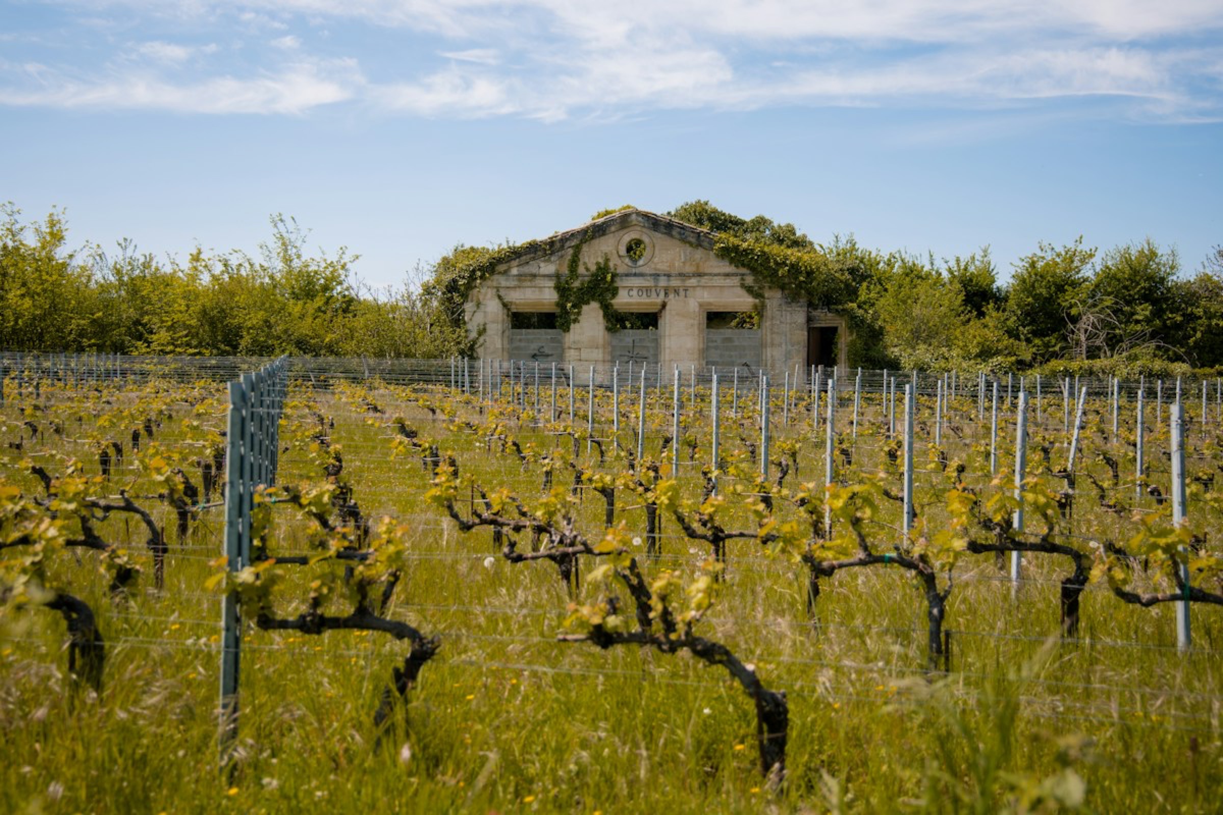 Rows of vines in front of a stone winery