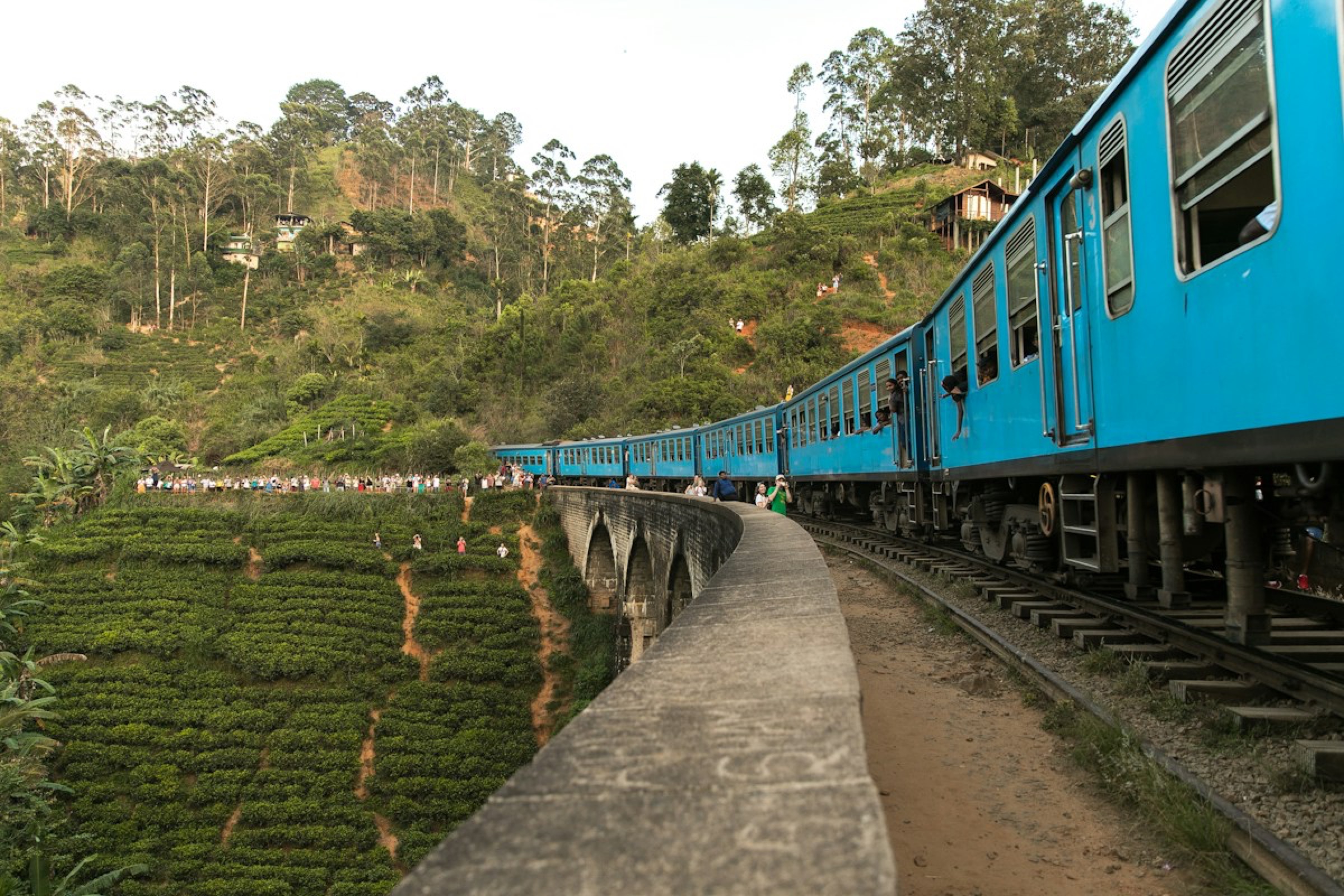 The blue hill-country train crossing a bridge through tea plantations