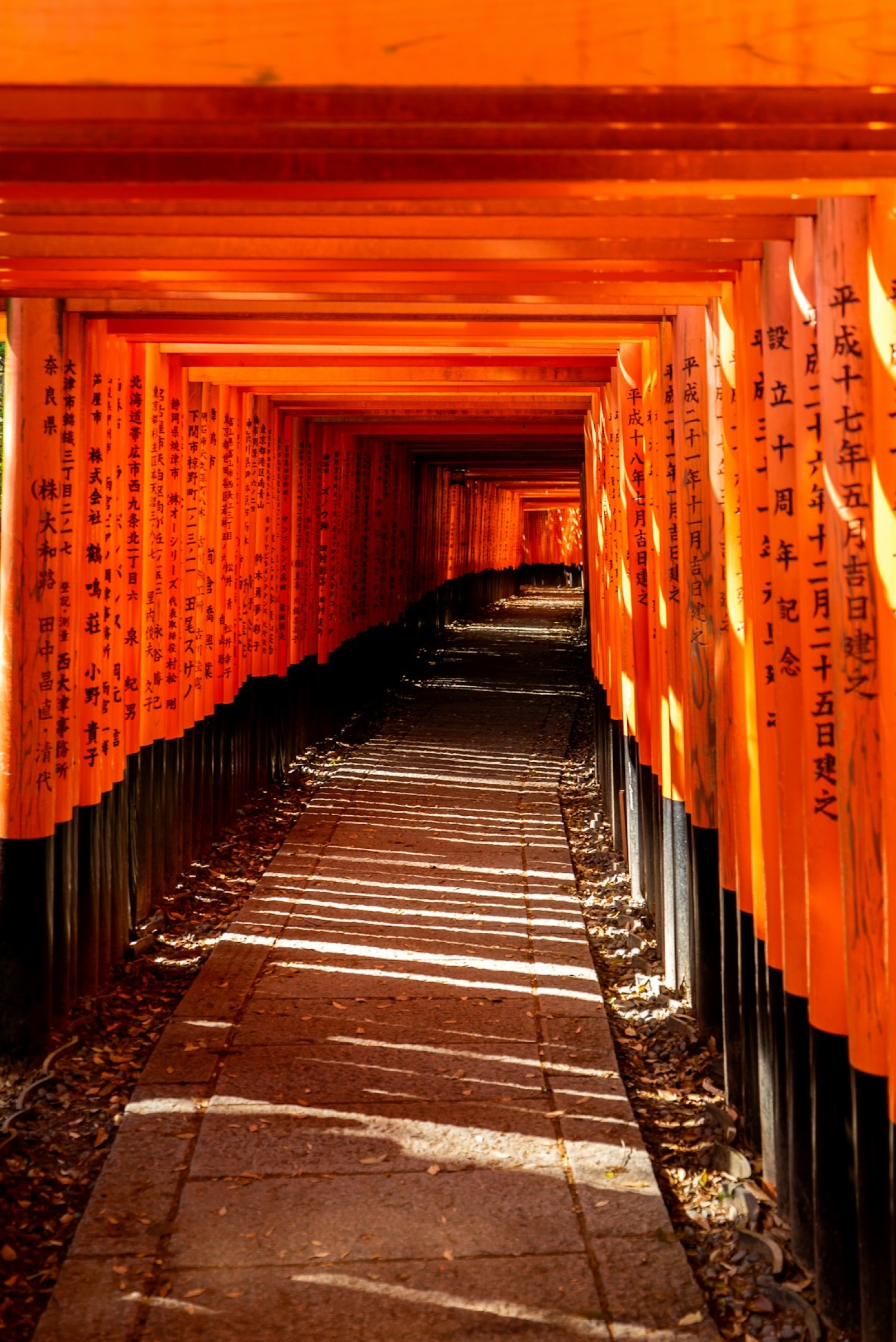 The tunnel of orange torii gates at Fushimi Inari, Kyoto