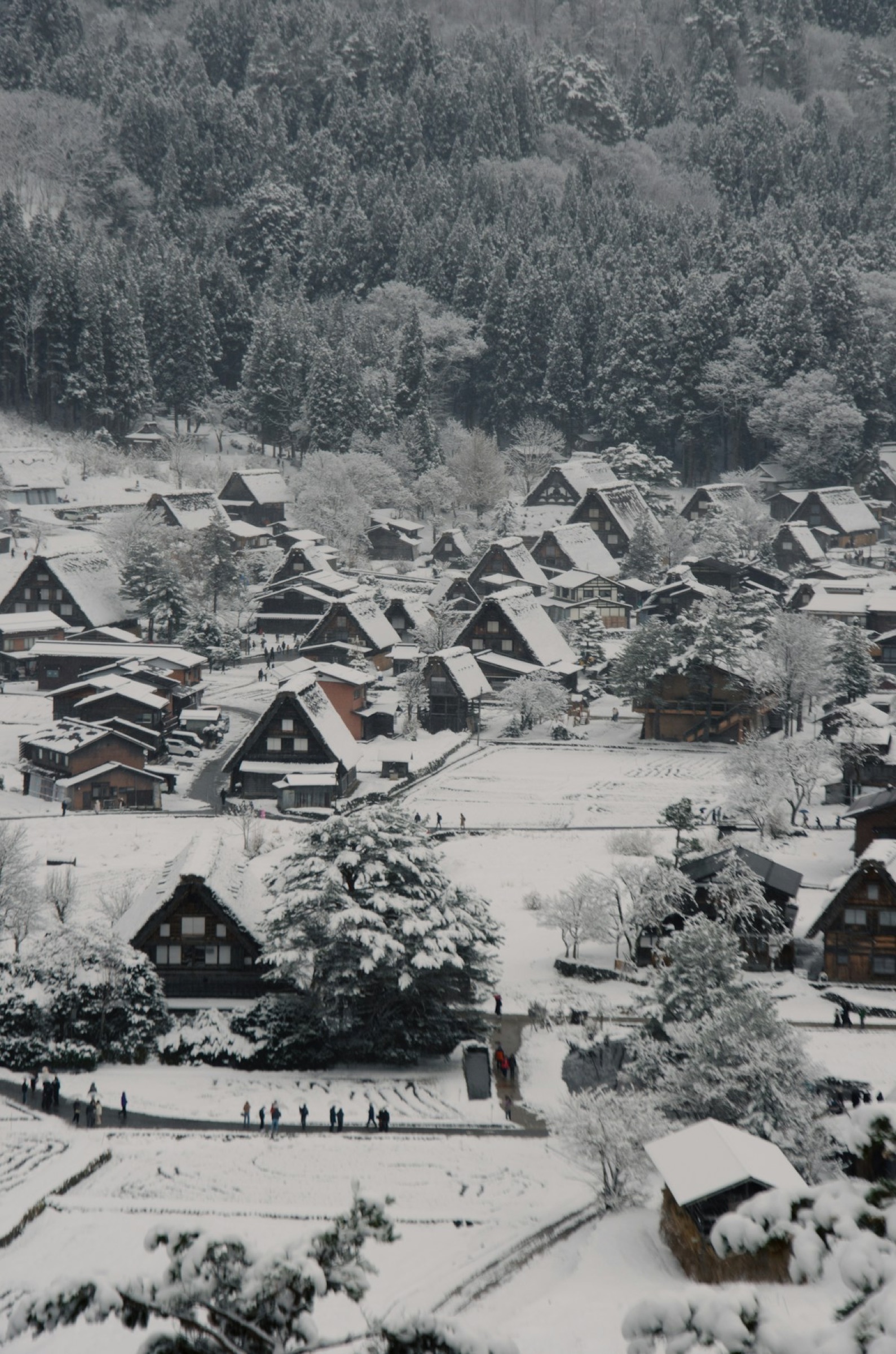 Snow-covered thatched houses in Shirakawa-go