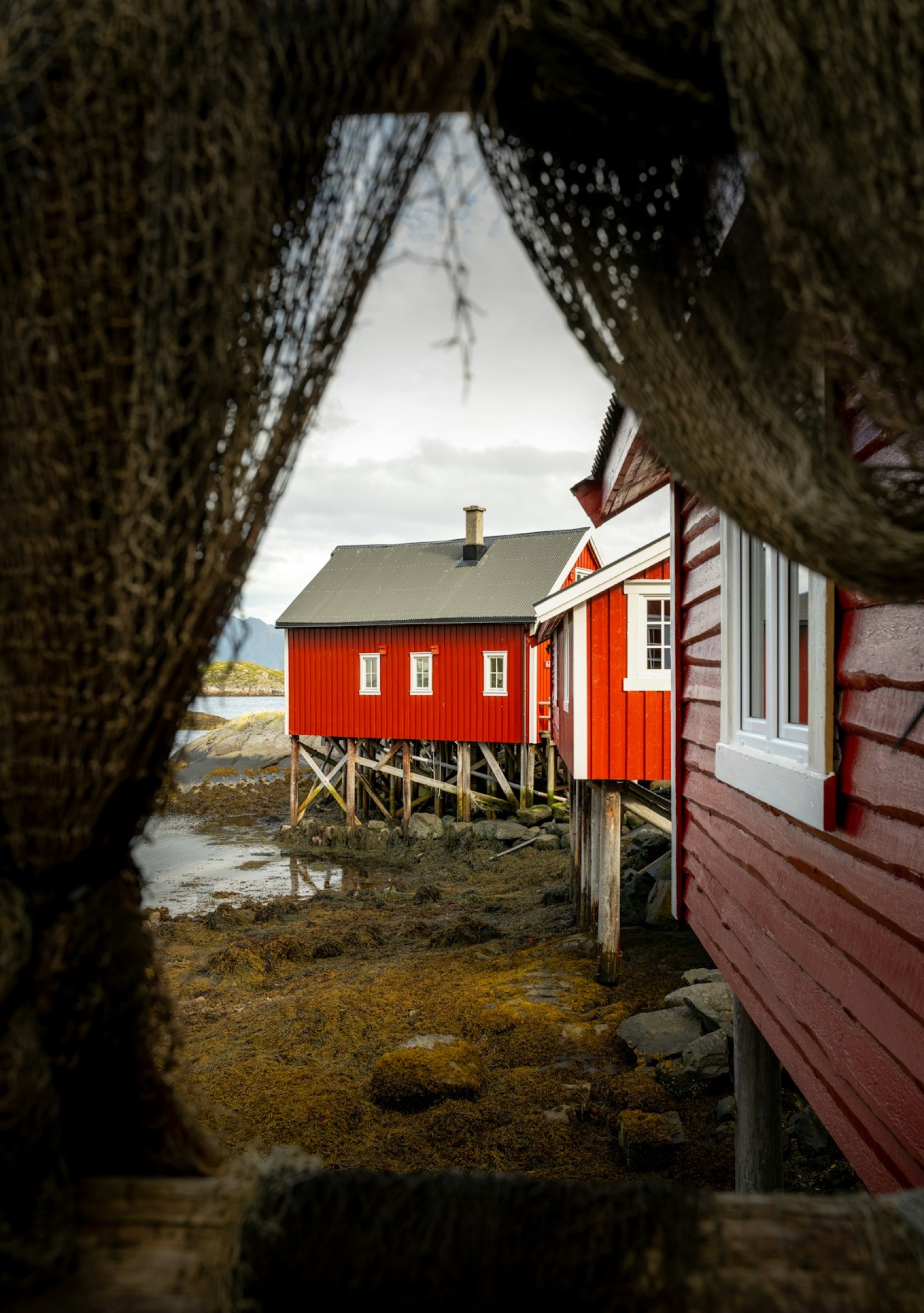 Red fishermen’s cabins on stilts in the Lofoten Islands