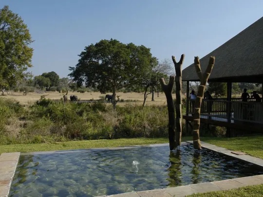 Safari lodge deck and plunge pool looking out over the bush
