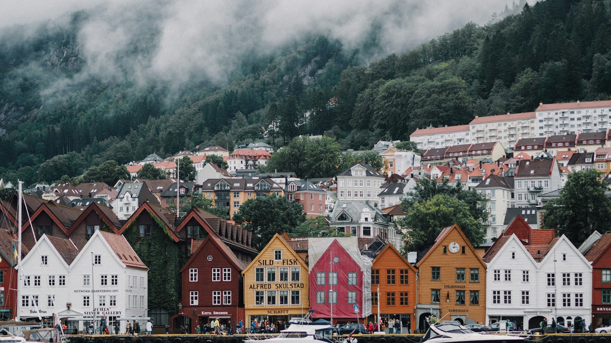 Colourful timber houses beneath the misty hills of Bergen